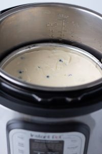 cheesecake in instant pot