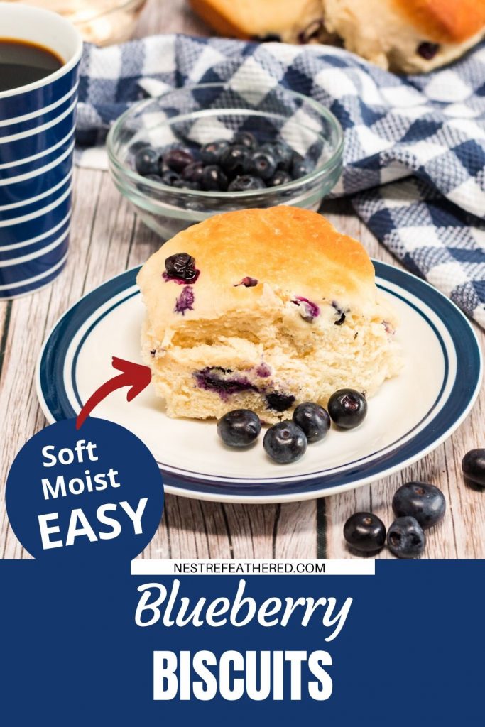 blueberry biscuit on plate